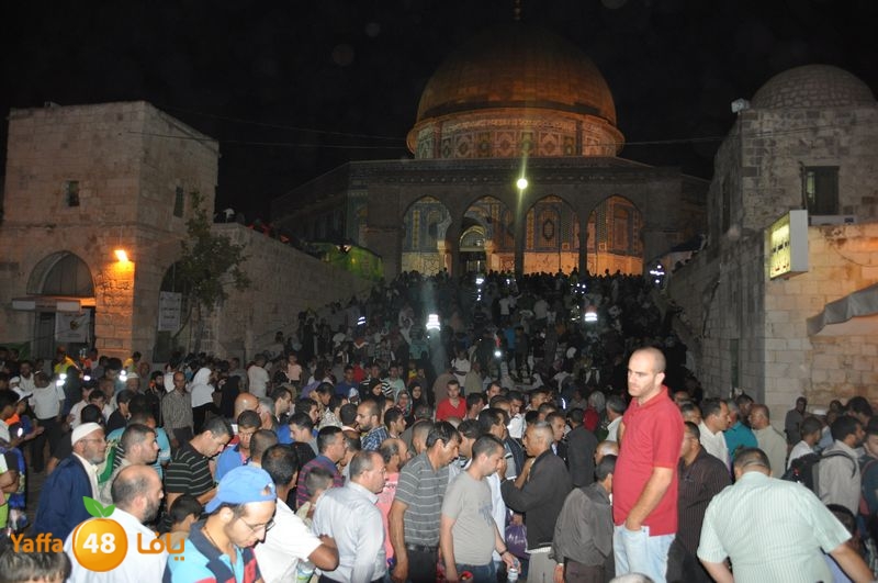 lud trawer7 aqsa 805 (21).JPG